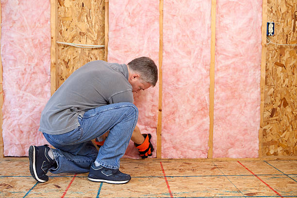 Best Home Insulation Services  in North Liberty, IA